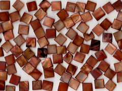 Copper Pearl Shell 1010