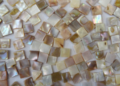 Natural Pearl Shell 1010