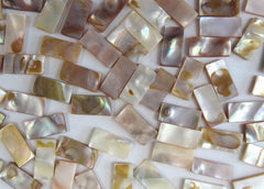 Natural Pearl Shell 1020