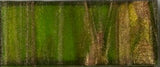 GM2050.80 Lime