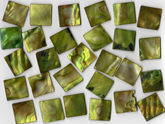 Lime Pearl Shell 2020