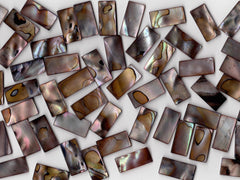 Dark Pearl Shell 1020
