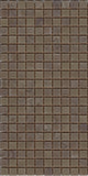 N16 Light Brown