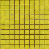 N21 Yellow