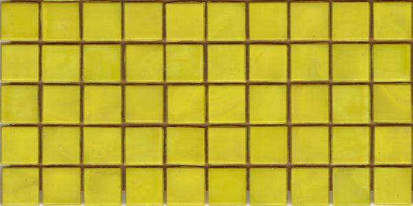N21 Yellow