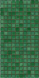 N33 Medium Green