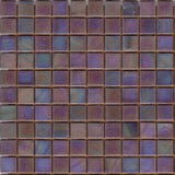 NP72 Purple Pearl