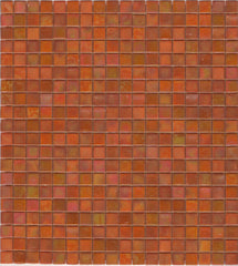 NP25 Pumpkin Pearl