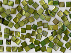 Lime Pearl Shell 1010