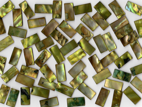 Lime Pearl Shell 1020