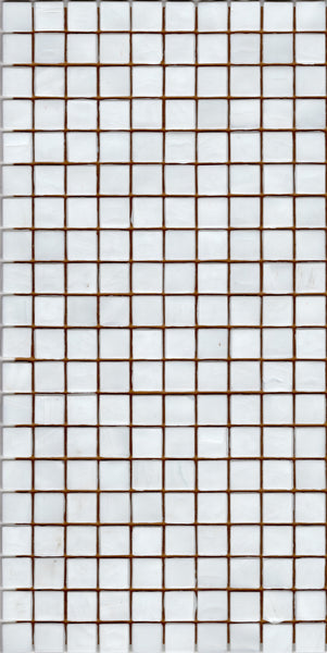 N1 White