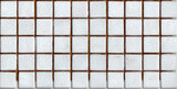 N1 White
